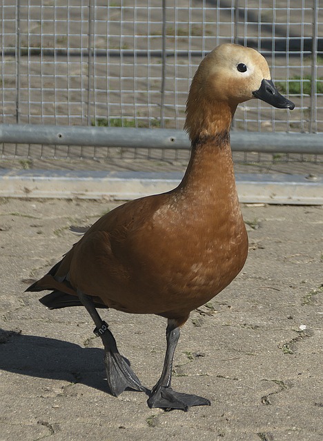 这一时刻不