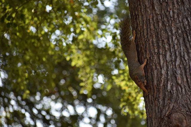 雖然短期內 雖然短期內