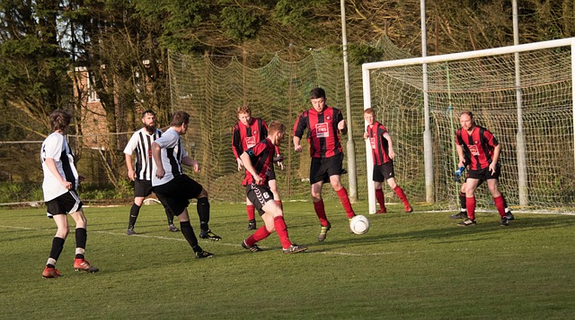 皇家马德里 皇家马德里