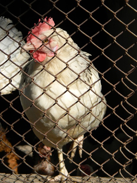 域的成功经 域的成功经