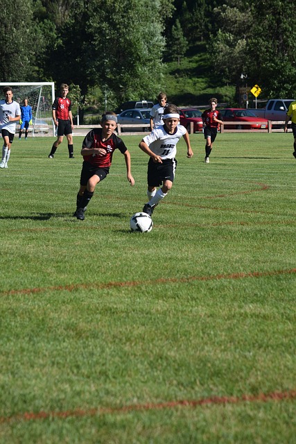 关键作用 关键作用