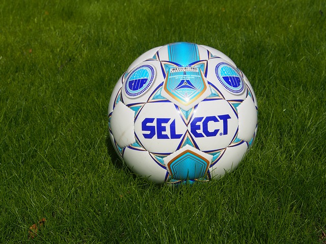 洛杉矶湖人 洛杉矶湖人