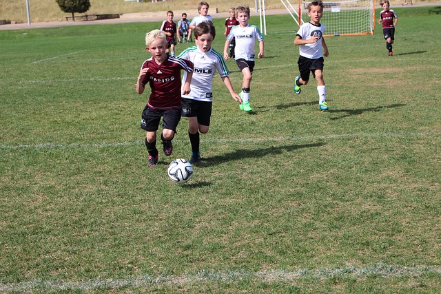 比赛期间 比赛期间