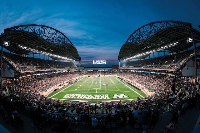 他在英超的 他在英超的