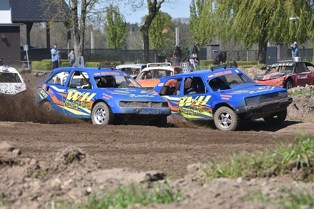 球队胜利的 球队胜利的